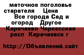 маточное поголовье старателя  › Цена ­ 3 700 - Все города Сад и огород » Другое   . Карачаево-Черкесская респ.,Карачаевск г.